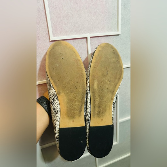 Adorable Ballet Flats - Python/Snakeskin Color - Picture 9 of 12